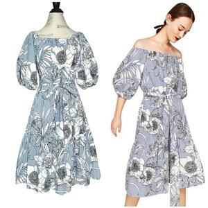 Zara | Women | Floral Stripe Poplin Off Shoulder Belted Midi Dress | Small